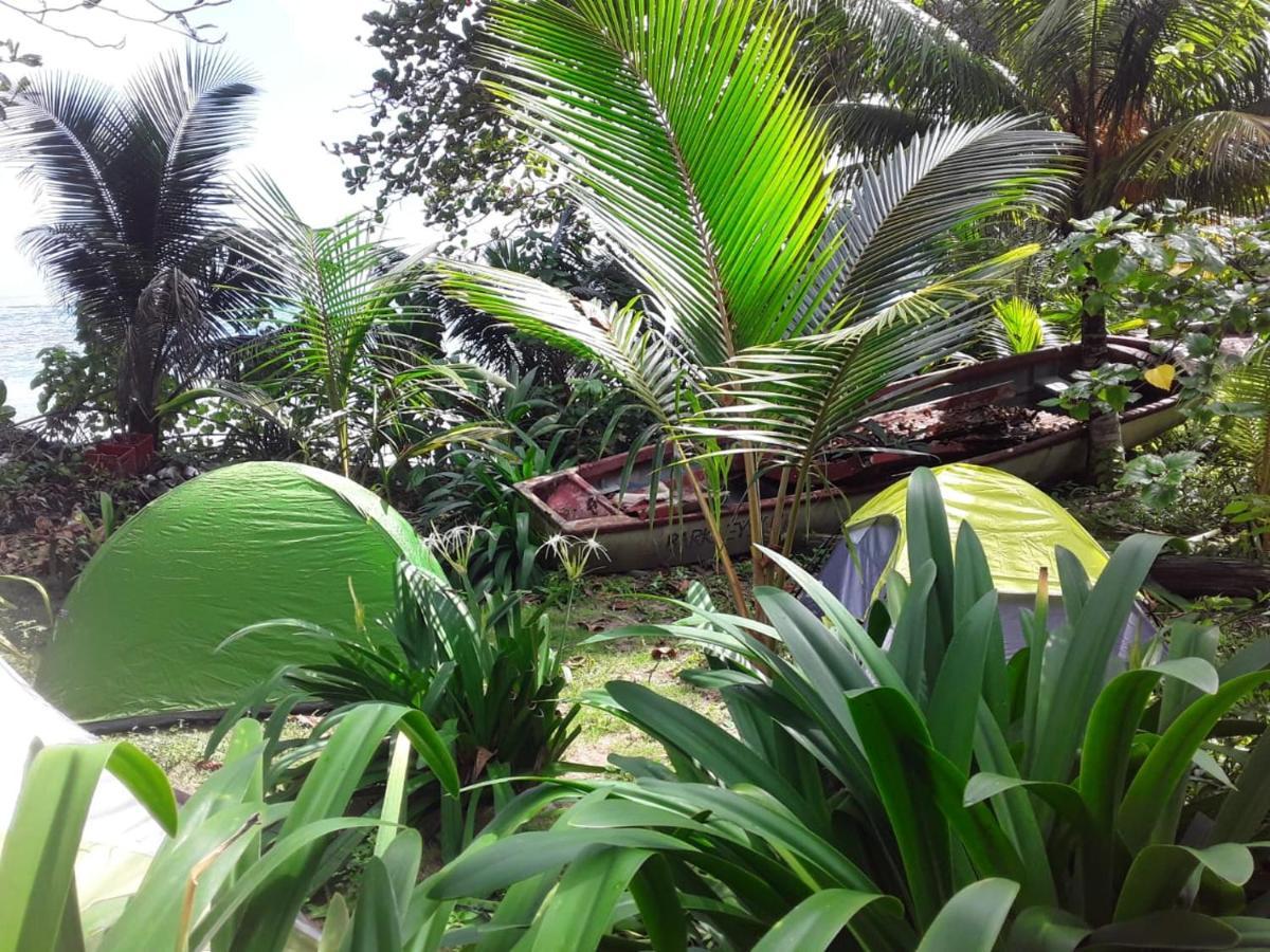 Port Antonio Brian'S Beach House Exteriör bild