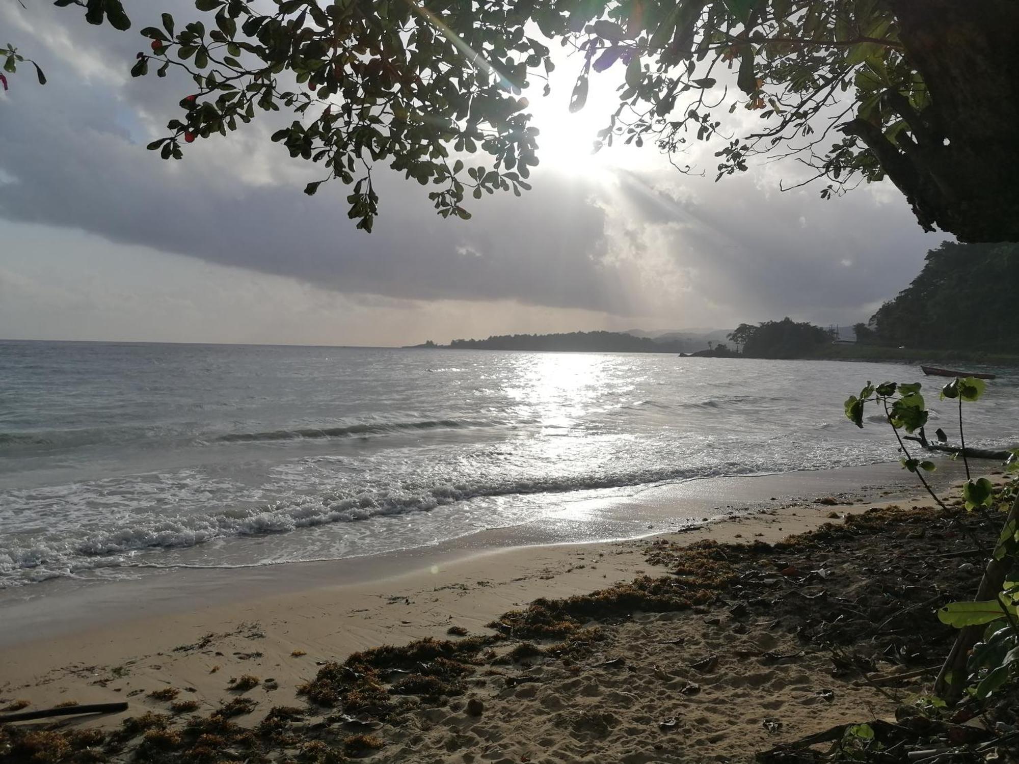 Port Antonio Brian'S Beach House Exteriör bild