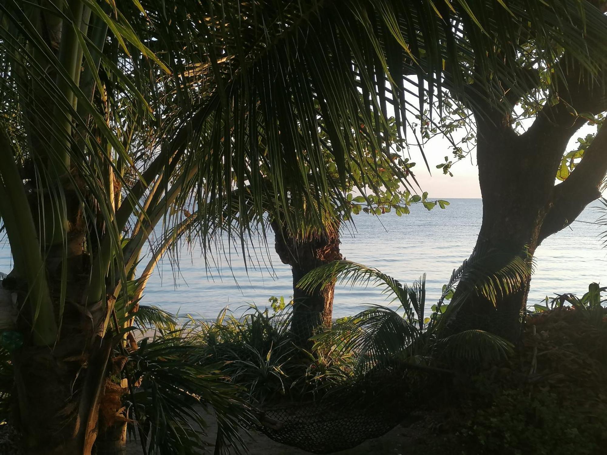 Port Antonio Brian'S Beach House Exteriör bild